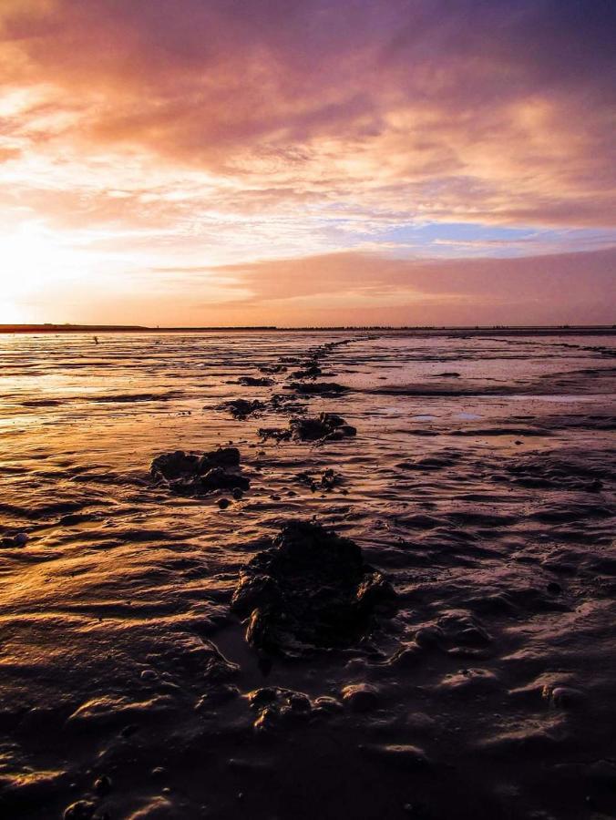 Vissershuisje Aan De Waddenzee Paesens Exteriér fotografie